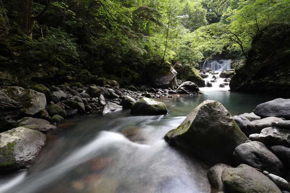 Canon RF 16 28 mm F2.8 IS STM