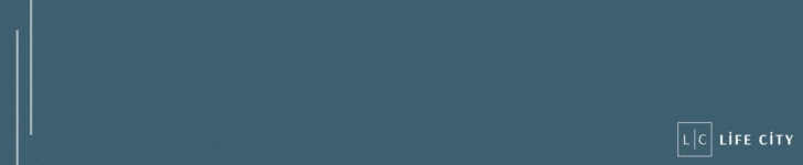 spot_img