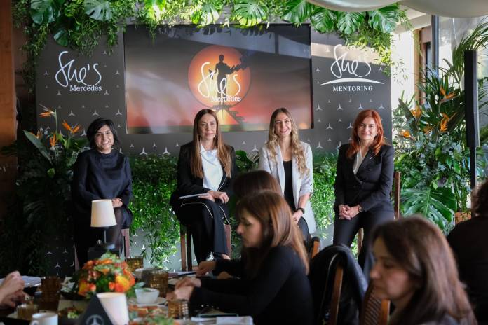 mercedes benz she s mentoring programı
