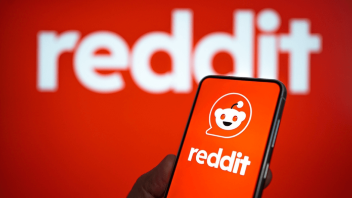 Reddit Google AI hamlesi
